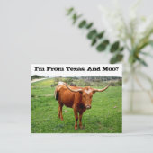 Carte Postale Texas Longhorn Avec Drôle Texas Dit (Debout devant)