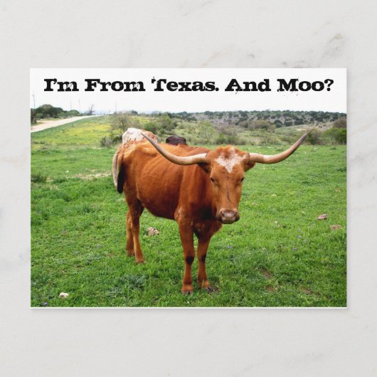 Carte Postale Texas Longhorn Avec Drôle Texas Dit (Devant)
