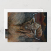 Carte Postale Texas Longhorn Bull (Devant / Derrière)