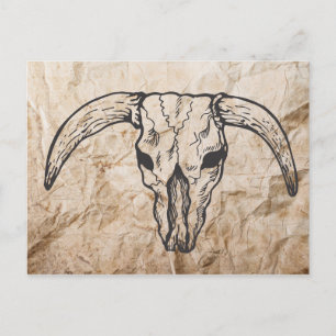 Carte Postale Texas Longhorn Bull Skull