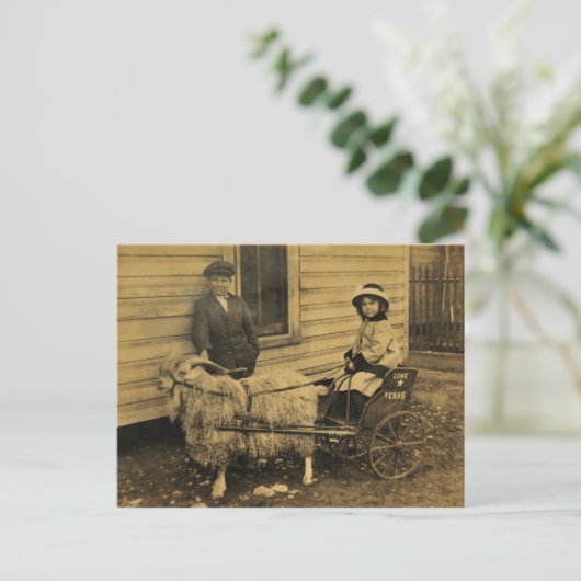 Carte Postale Texas Ride (Debout devant)