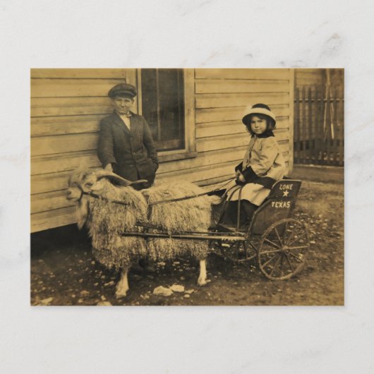 Carte Postale Texas Ride (Devant)