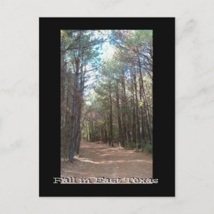 Carte Postale Texas Series