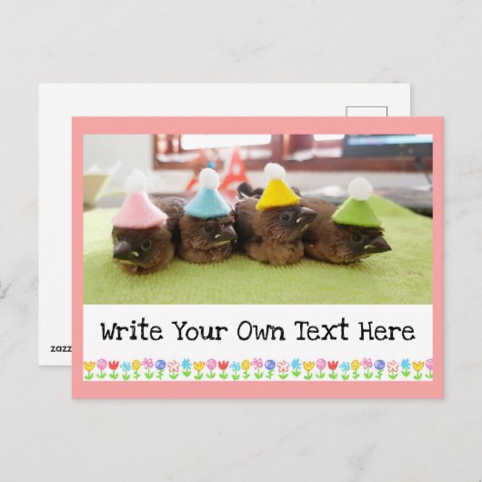 Carte Postale Texte personnalisable Oiseau bébé mignon Pinson Pi (Devant / Derrière)