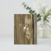 Carte Postale Texture 1 (Debout devant)