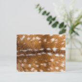 Carte Postale Texture de la fourrure de cerf tachetée (Debout devant)