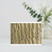 Carte Postale Texture de l'écorce d'arbre de coton (Debout devant)