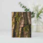 Carte Postale Texture de l'écorce d'arbre forestier moussu (Debout devant)