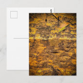 Carte Postale Texture de roche moussue chaude (Devant / Derrière)