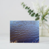Carte Postale Texture de surface d'eau (Debout devant)