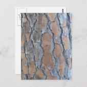 Carte Postale texture d'écorce d'arbre (Devant / Derrière)