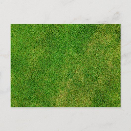Carte Postale Texture d'herbe verte (Devant)