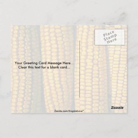 Carte Postale Texture du maïs (Dos)