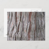 Carte Postale texture écorce de cèdre (Devant / Derrière)