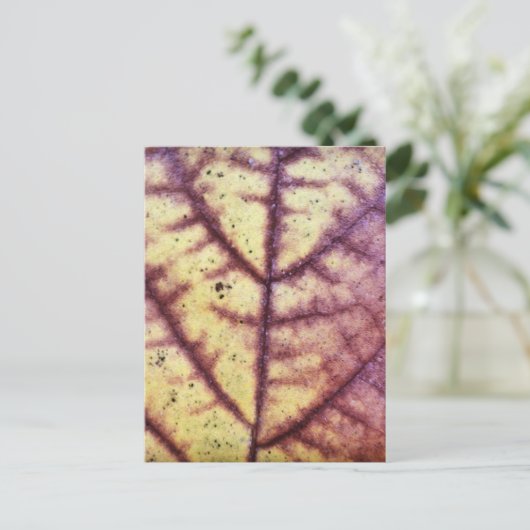 Carte postale Texture feuille morte (Debout devant)