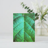 Carte postale Texture feuille verte (Debout devant)