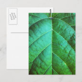 Carte postale Texture feuille verte (Devant / Derrière)