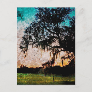 Carte Postale Textures de coucher de soleil Audubon