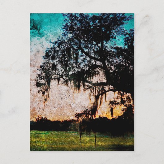 Carte Postale Textures de coucher de soleil Audubon (Devant)