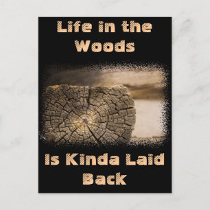 Carte Postale Textures de vieux Cabines