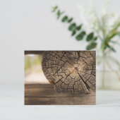 Carte Postale Textures en bois Cabine (Debout devant)