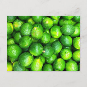 Carte Postale Textures naturelles - Limites