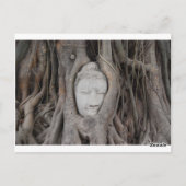 Carte Postale Thaïlande Chef de Bouddha entouré d'arbres (Dos)