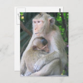 Carte Postale Thaïlande Monkey Mother and Child Hug (Devant / Derrière)