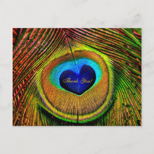 Carte Postale Thank You Peacock Feathers Eye of Love