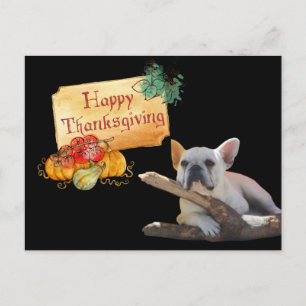 Carte Postale Thanksgiving Bouledogue Français French Bulldog