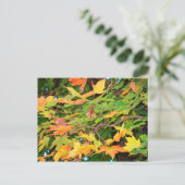 Carte Postale Thanksgiving Chêne d'automne Feuille (Debout devant)