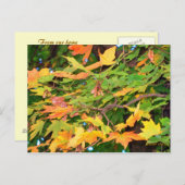 Carte Postale Thanksgiving Chêne d'automne Feuille (Devant / Derrière)