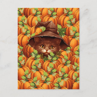 CARTE POSTALE THANKSGIVING CITROUILLE CUTE CAT