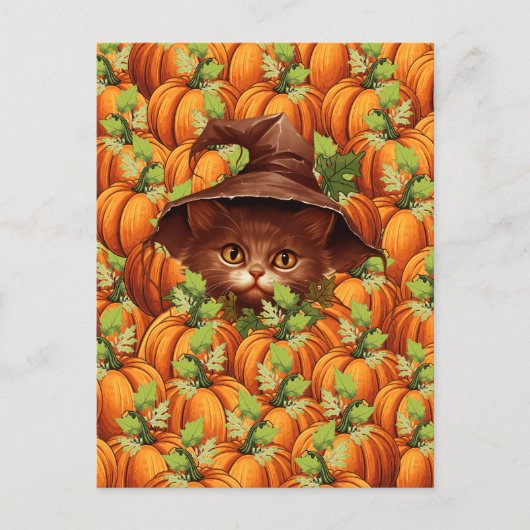 CARTE POSTALE THANKSGIVING CITROUILLE CUTE CAT (Devant)