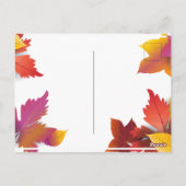 Carte Postale Thanksgiving Holiday Fall Maple Feuilles Décor bru (Dos)