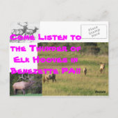 Carte Postale ThBA Elk BENEZETTE PA (Dos)