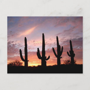 Carte Postale "The Arizona Show"