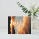 Carte Postale "The Arizona Show" (Debout devant)