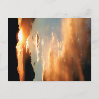 Carte Postale "The Arizona Show"