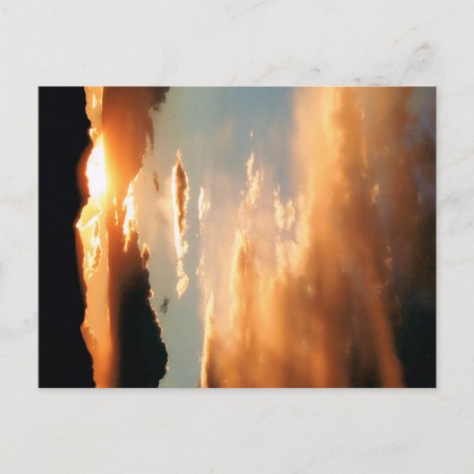 Carte Postale "The Arizona Show" (Devant)