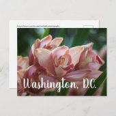 Carte Postale Thé au lait Orchidée Washington, D.C (Devant / Derrière)