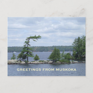 Carte Postale The Bent Tree, Muskoka, Ontario, Canada