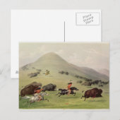 Carte Postale The Buffalo Hunt, c.1832 (Devant / Derrière)