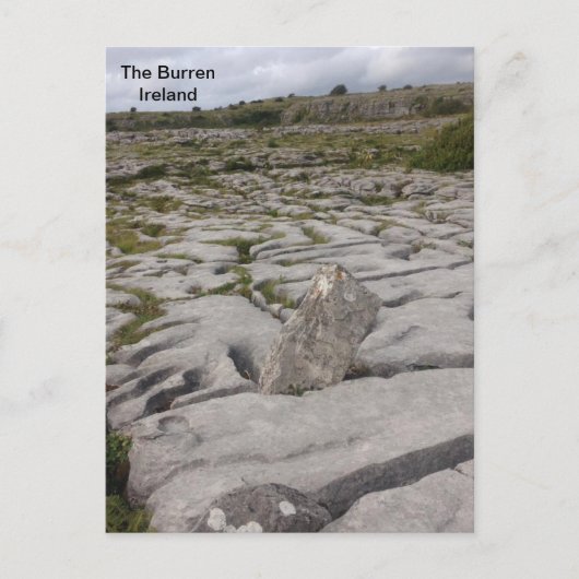 Carte Postale The Burren, Co. Clare, Irlande. (Devant)