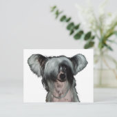 Carte Postale The Chinese crested dog (Debout devant)