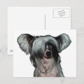 Carte Postale The Chinese crested dog (Devant / Derrière)