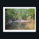 Carte Postale The dense jungle that surrounds MySon in Vietnam<br><div class="desc">This is a phot taken on the outskirts of MySon (pronounced MeeSon) in Vietnam. It is the sight of ancient temples and artwork and has been developed as a tourist site.</div>