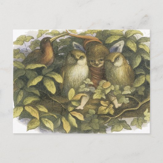 Carte Postale The Fairyland, 1870 Fairy With Owls (Devant)