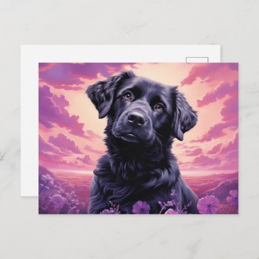 Carte postale The Flower Admirer (Devant / Derrière)