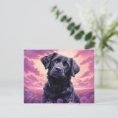 Carte postale The Flower Admirer (Debout devant)